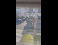 Woman saw man ride on his horse along street at day 