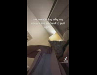 Large dog lay on cover hard to pull