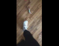 Walking up to mirror with wrong crocs 