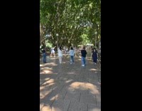 Women group dance blocks the park walkway