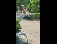 Two men tiktok dance at the park