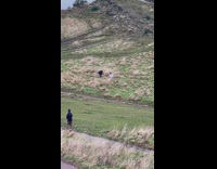 Man in white shirt sits on the grass at the mountains