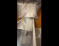 Hamster on bed slides down mirror into white pillow on floor 