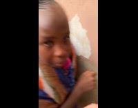 Piece of wall carried upwards by ants