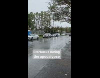 Long line of cars starbucks drive through 