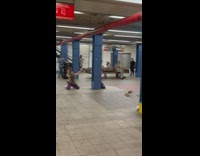 Performance with random noises and instruments