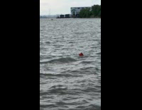 Passengers swim boat flipped over strong wind