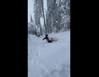 Skier does a backflip but faceplants at landing