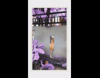 Orange cat sits hole concrete wall tail 