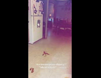 Guy in dinosaur trex mask runs and slips on banana peel in kitchen 