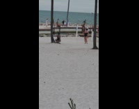 Woman blue bikini underwear crouch near palm tree