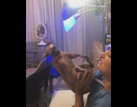 Blue shirt girl holds kisses sphynx cat 