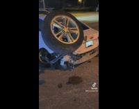 White cat with broken car axle accident 