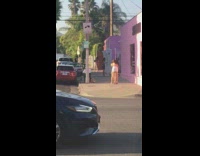 Influencer group photo shoot pink store car