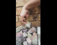 Man rub armpit of squirrel on rocks