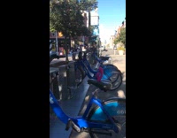 Pink toy on bicycle seat blue citibike