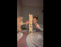 Cat trying to ruin jenga game 