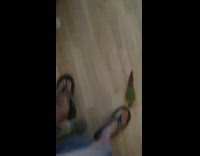 Pet bird pecks the feet of filmer for food
