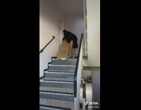 Woman recording herself carrying heavy package slips on package