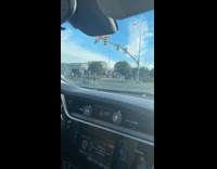 Collab Clips MPUGC2 - Dog poops in middle of crowsswalk