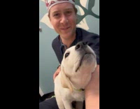 Vet giving puppy scratches does air bites 