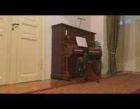 Cat walks across piano keys for food 