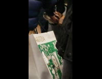 Dog head sticking out of bags in crowded subway