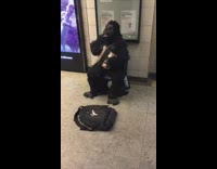 guy in gorilla costume sits on a bucket and plays music near the subway 