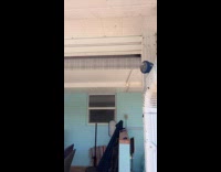 Collab Clips MPUGC - Woman is serious about getting tanned 