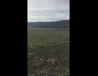 Power model rocket Launches in the air