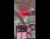 Buddy the elf decal waves with windshield wiper 