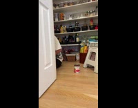 Collab Clips MPUGC - Man shows stock of tomato puree in pantry