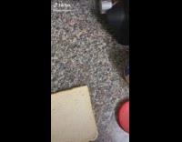 Collab KaleSaladIG - Crying Peanut Butter