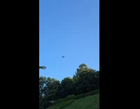 Falcon hovers in one place like its stuck