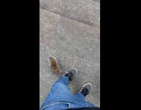 Squirrel climb up leg wear blue jeans