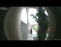 Guy slips and falls by house fail 