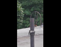 Guys react to raccoon goes down rooftop