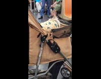 Collab Subway Creatures - Bunnies and rabbit on stroller inside train