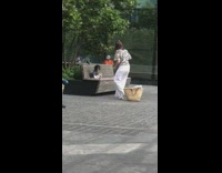 Black dog striped shirt sit wooden bench