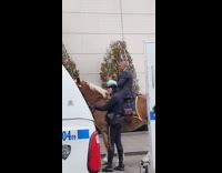 Mayor Adams of Queens Takes Picture with Horse