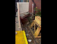 Collab WINY - Guy throw food to raccoon on railway