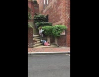 Girl grab shrubs stairs photographer lay ground