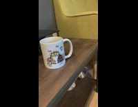 Kitten smells cup backs up falls