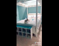 Collab KaleSaladIG - Girl throws blue ornament grenade in room and puts up Christmas decorations