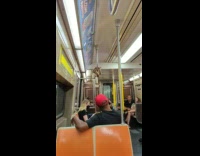 Big pet snake on train bar 