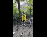 Woman in yellow coat feeds pigeons 