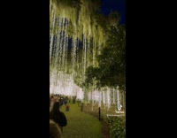 Woman shows magical Christmas decorations 