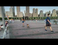Shirtless guy and bulldog skateboard together near water 