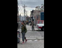 Collab WINY - Old man cross street parrot on shoulder