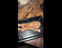 Man freaked out by dog ice cream